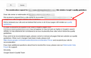 google reconsideration reply